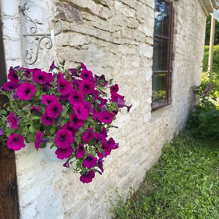 Διαμέρισμα Vasalemma Country Retreat *