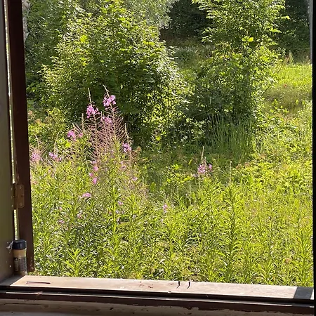 Διαμέρισμα Vasalemma Country Retreat Ταλίν