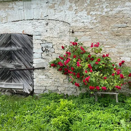 Vasalemma Country Retreat Lejlighed Tallinn