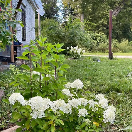 Vasalemma Country Retreat Apartment Tallinn